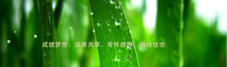 手机版大图